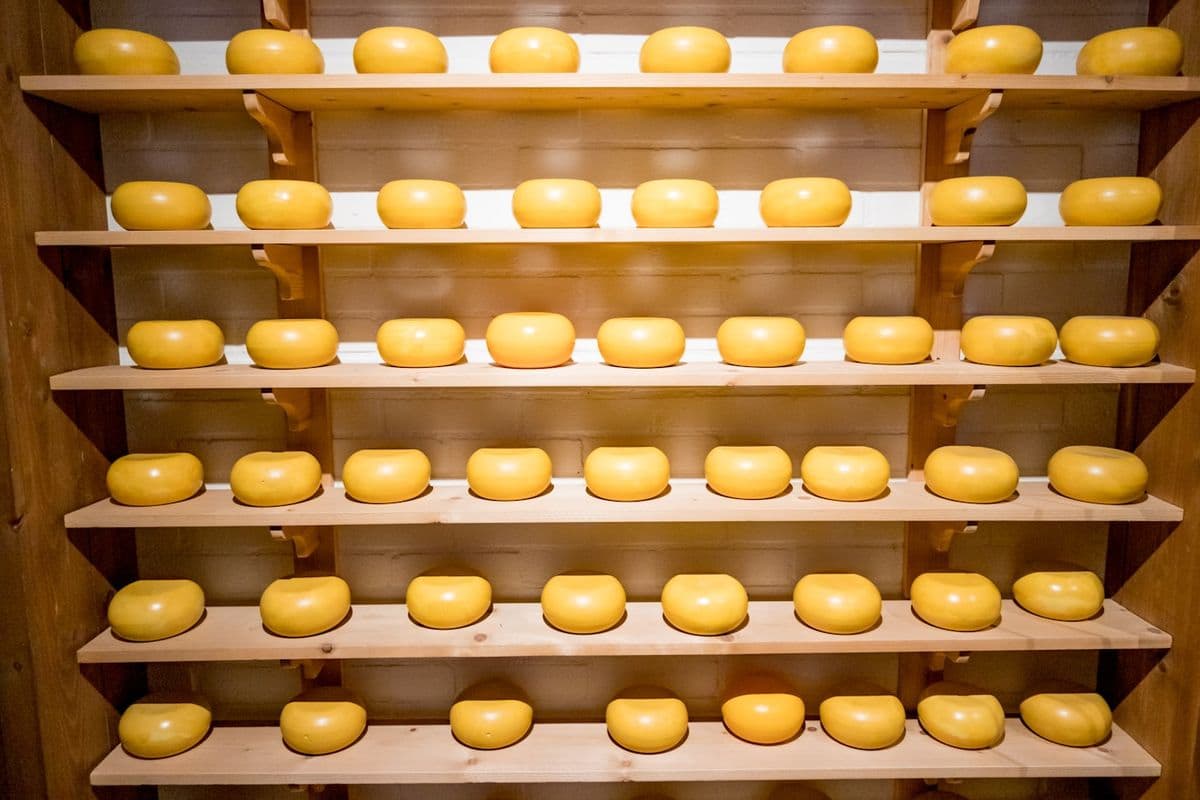 Shelves filled with yellow cheese wheels
